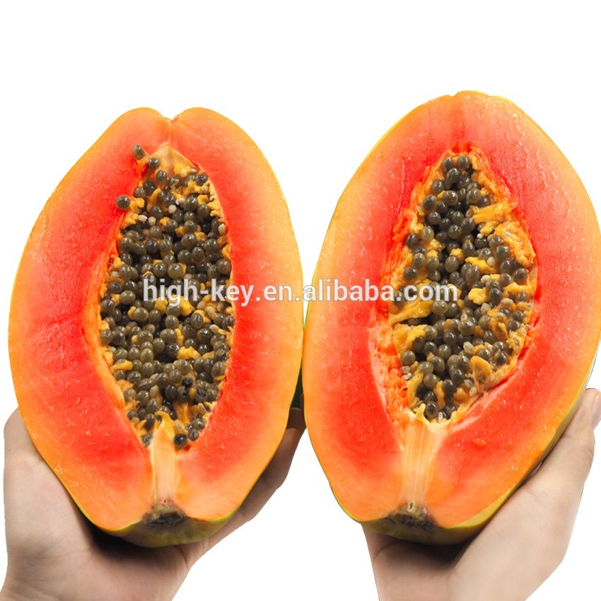 S615 red lady papaya.jpg