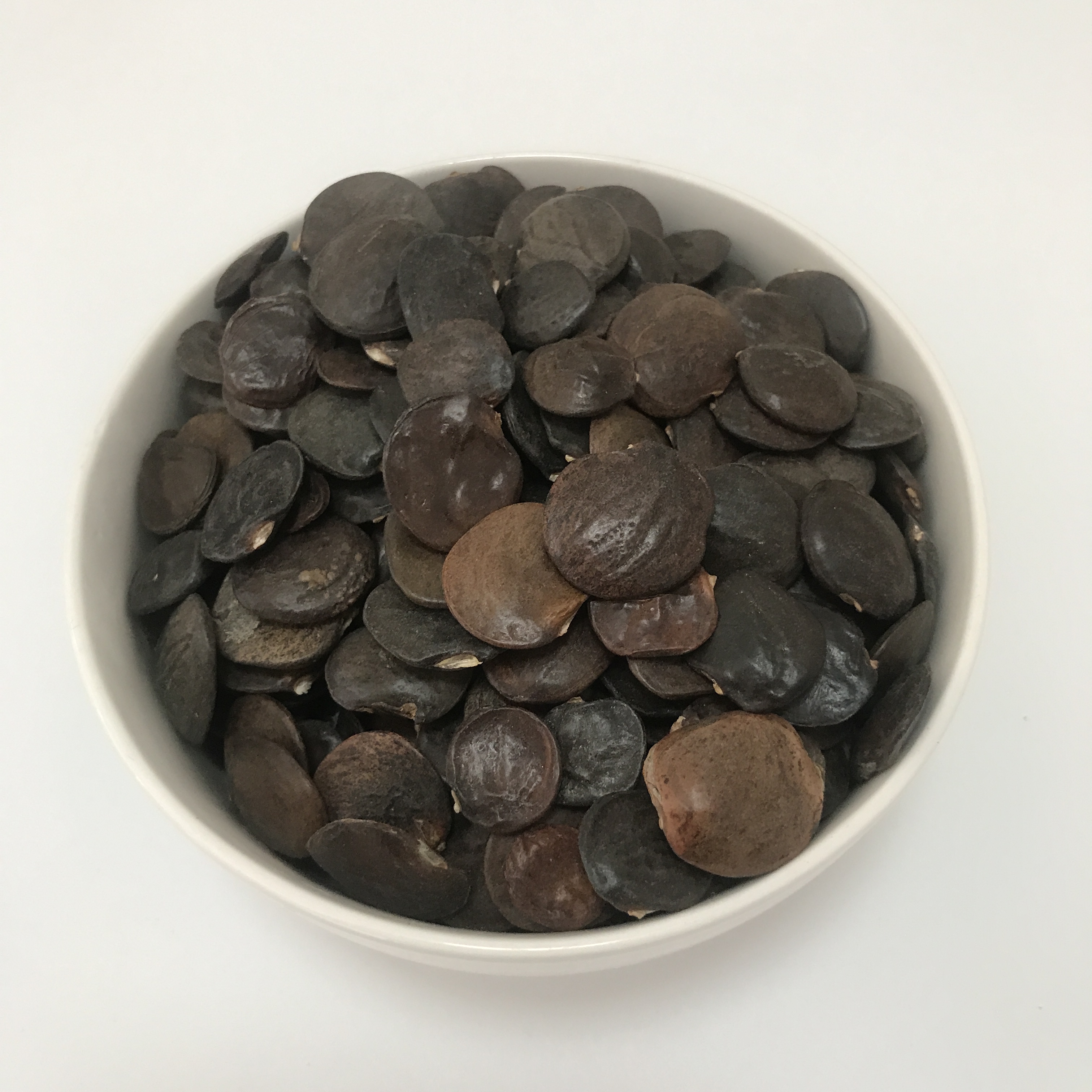 S430 wistaria seed (7).jpg