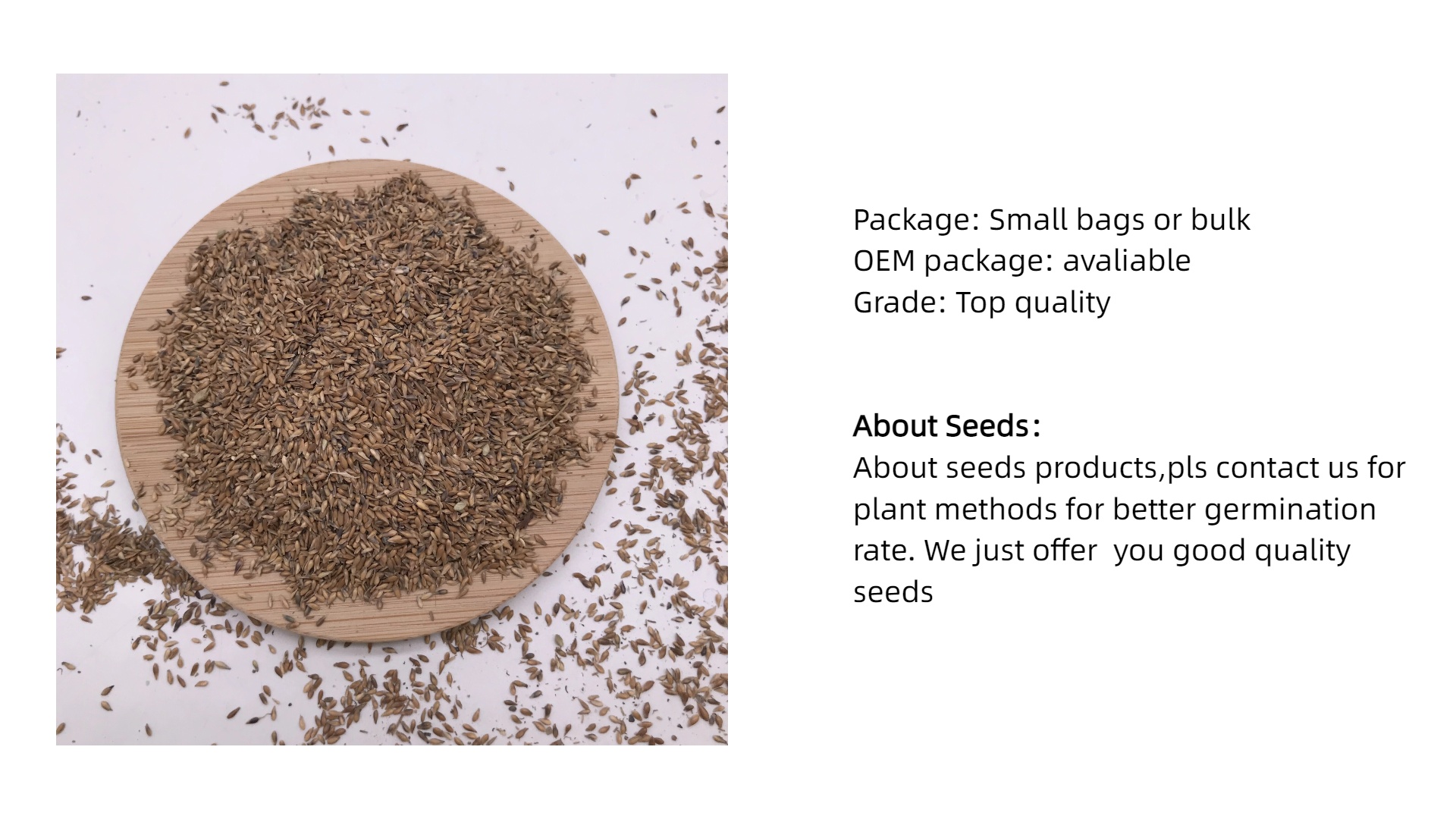 S813 Zoysia Seeds(4).jpg S813 Zoysia Seeds(4).jpg