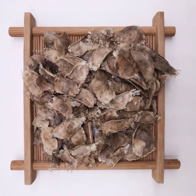 S396 Purple Tabebuia Seed(2).jpg S396 Purple Tabebuia Seed(2).jpg