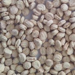 gingseng seed