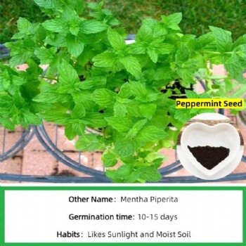 peppermint seed