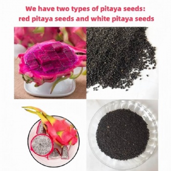 dragon fruit seed