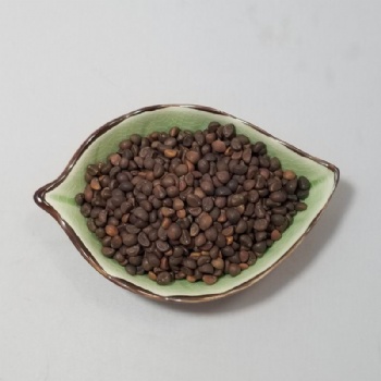 water spinach seed