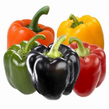 Sweet pepper seeds