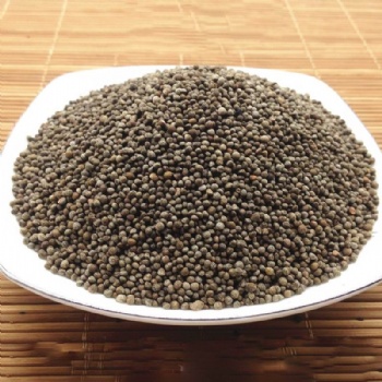 Purple Perilla Seeds