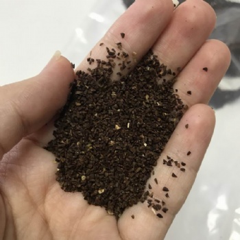 Evening Primrose Seeds