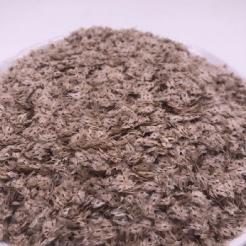 Paulownia Tomentosa Seed