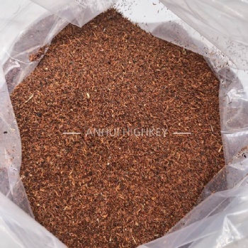 Eucalyptus Gunnii Seed