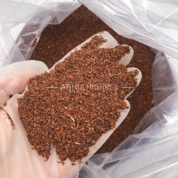Eucalyptus Gunnii Seed