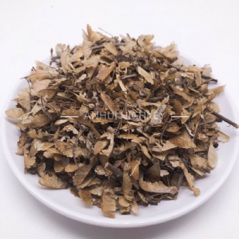 Acer Buergerianum Seed
