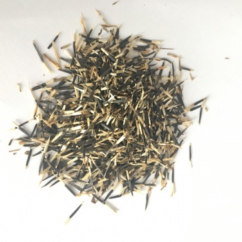 Marigold Seeds