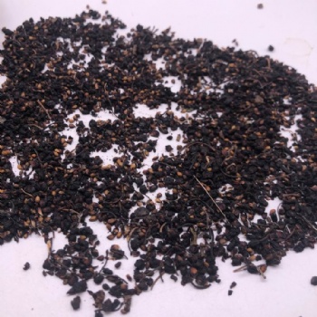 Blackberry Seeds