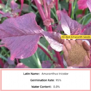 Red Amaranth Seeds