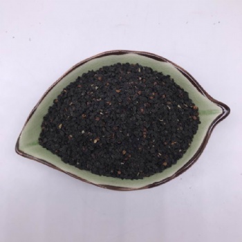 Dianthus Seeds