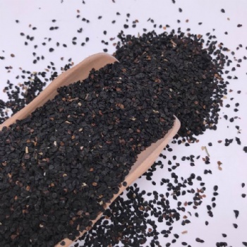Dianthus Seeds