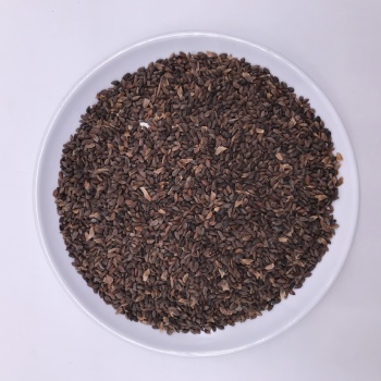 Asperata Seeds