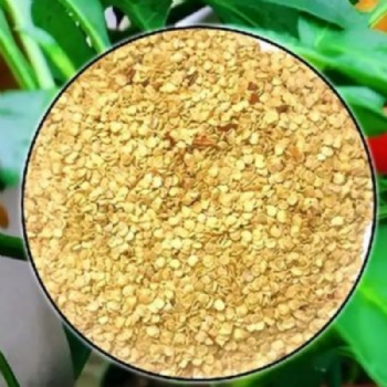 Small Hot Pepper Seed