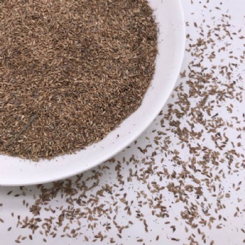 Zoysia Seeds