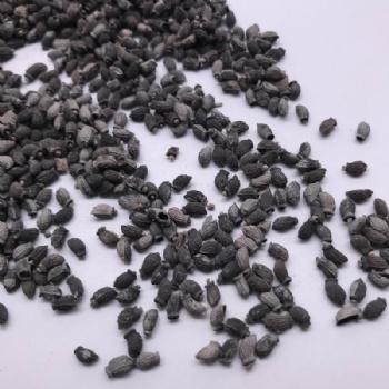 Borage Seeds