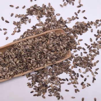 Milk Thistle Seeds