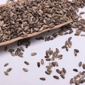 Milk Thistle Seeds