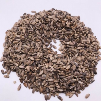 Milk Thistle Seeds