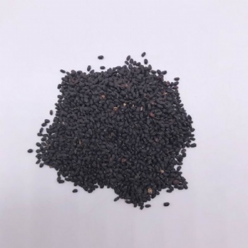 Basil Seeds