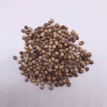 Cumin Seeds