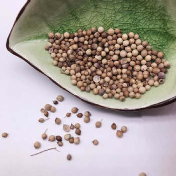 Cumin Seeds