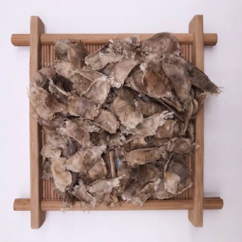 Purple Tabebuia Seed