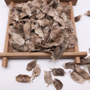 Purple Tabebuia Seed