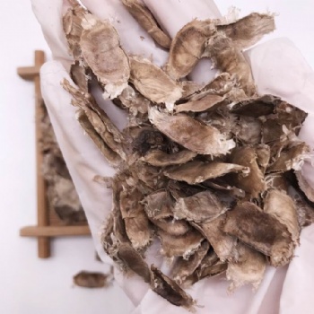 Purple Tabebuia Seed