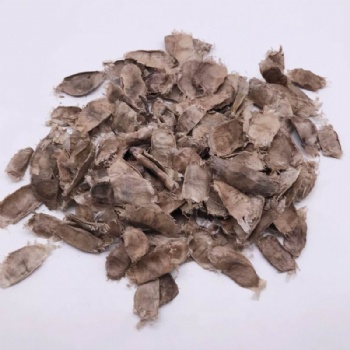 Purple Tabebuia Seed