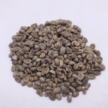 Coffee Seed
